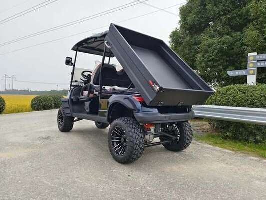 Multi-Purpose Utility Vehicle 2-Seater Golf Cart with Cargo Bed