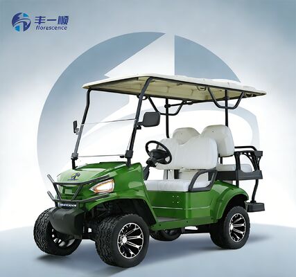New Style  2+2 Seater Electric  Golf Cart  48V Street Legal  Long Range Smart Screen