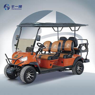 Factory Direct 6 Seater Electric Golf cart with Lithium Battery Disc Brake for Passenger Transport